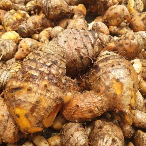 

Temulawak Segar 1KG - Temu Lawak ready stok