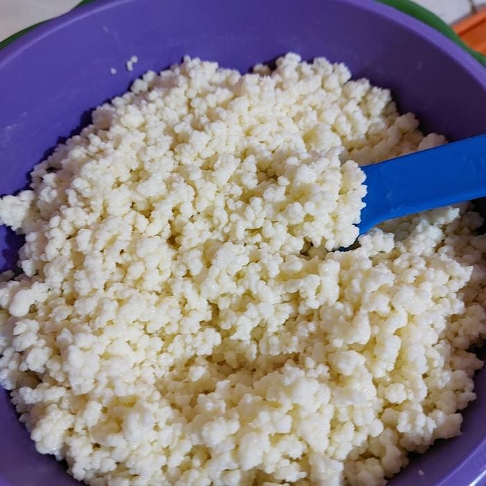 

Bibit Kefir Asli 50 Gram