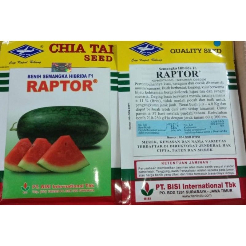 Semangka Raptor Inul Merah 20gr Original Pabrik