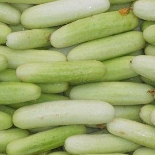 

timun sayur putih pasar online makassar