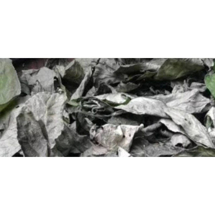 

DAUN KEJI BELING 1KG