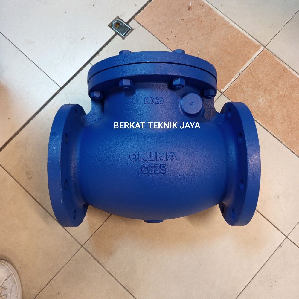 swing check valve 5" (DN 100) ansi 150 WCB okuma