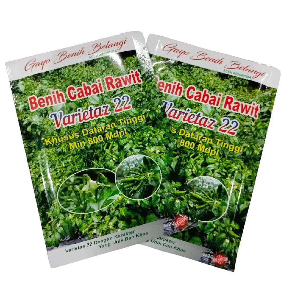 Cabe Varietaz 22 10gr Original Aceh Cabe Ijo Varietas 22 Buah Lebat