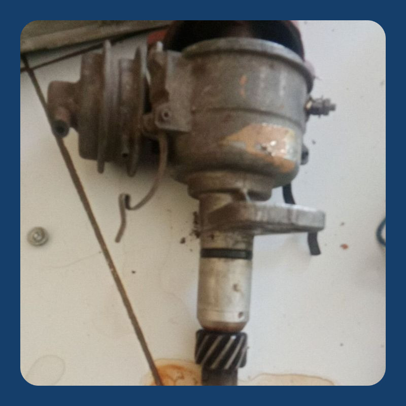 Delco Platina Zebra 1.0