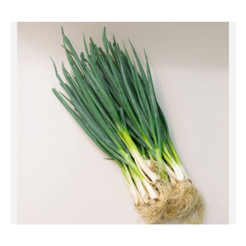

Daun bawang segar 250 gram di ambil dadakan