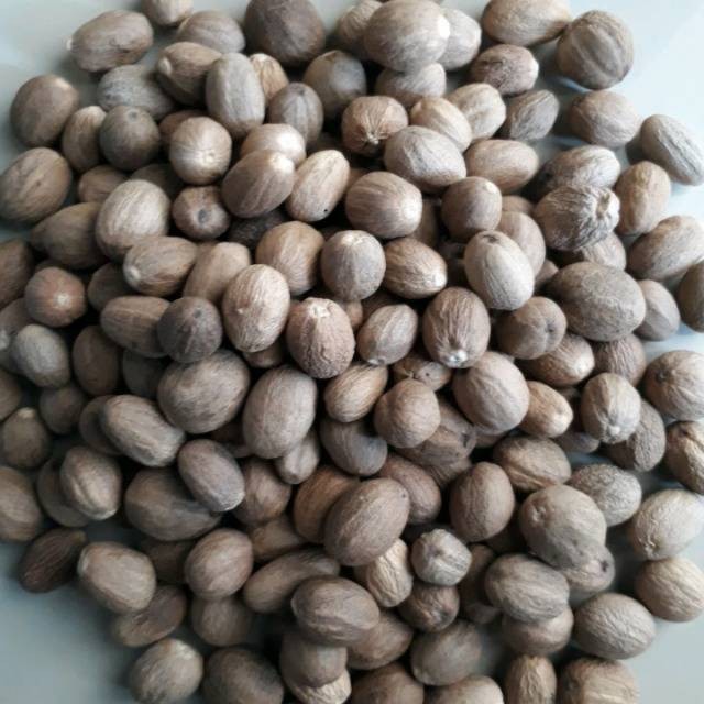 

Biji pala kering perbiji YL