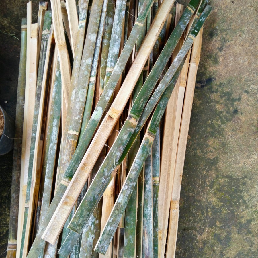Bilah Bambu / Bambu bilah / Turus Tanaman 100-200cm