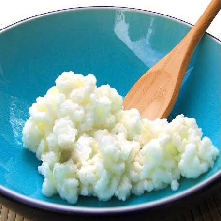 

King Kefir Grain