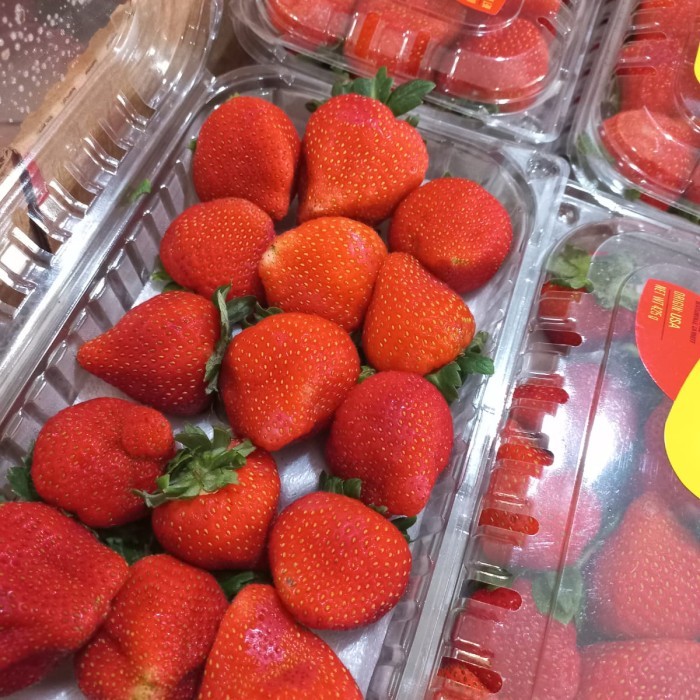 

Strawberry USA jumbo | Buah strawberry Driscolls fresh pack 425g