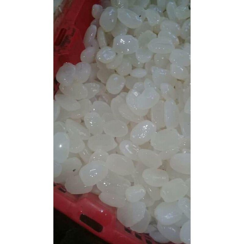 

Kolang kaling segar masih hangat per 500 gram Lestaari-Desaku