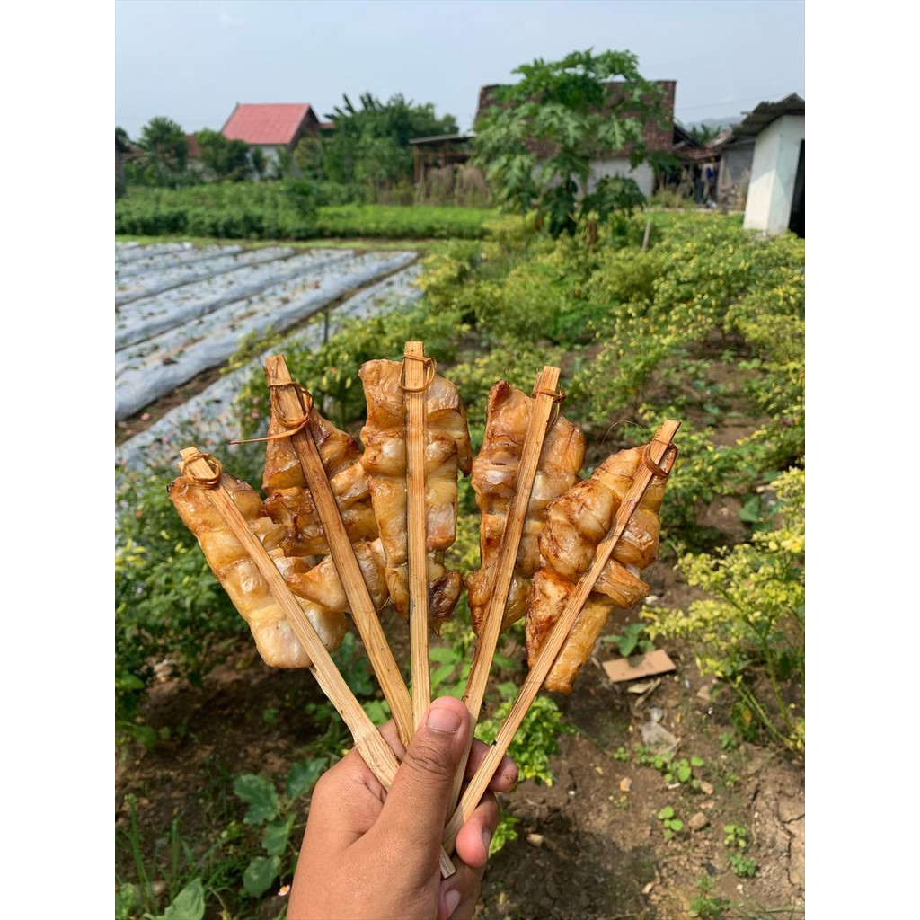 

ASAPAN IKAN PATIN JEPIT BAMBU