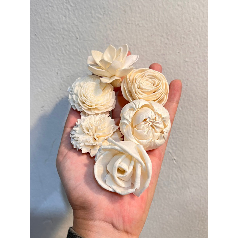 Sola wood flower 4-6cm / Bunga Sola Difuser Hiasan Dekorasi Rumah