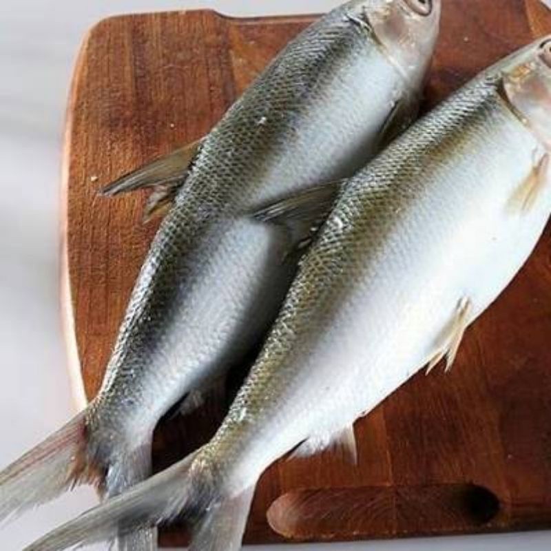 

Ikan Bandeng Segar 1Kg – Pilihan Ikan Berkualitas untuk Hidangan Lezat