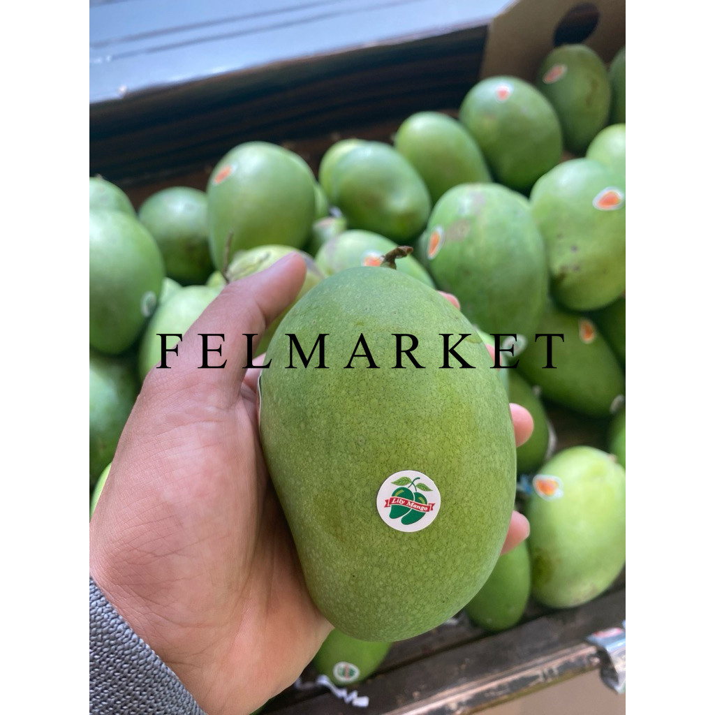 

Buah Mangga Lily Masak Pohon / Mangga Harumanis Lily Manis / 1 Kg