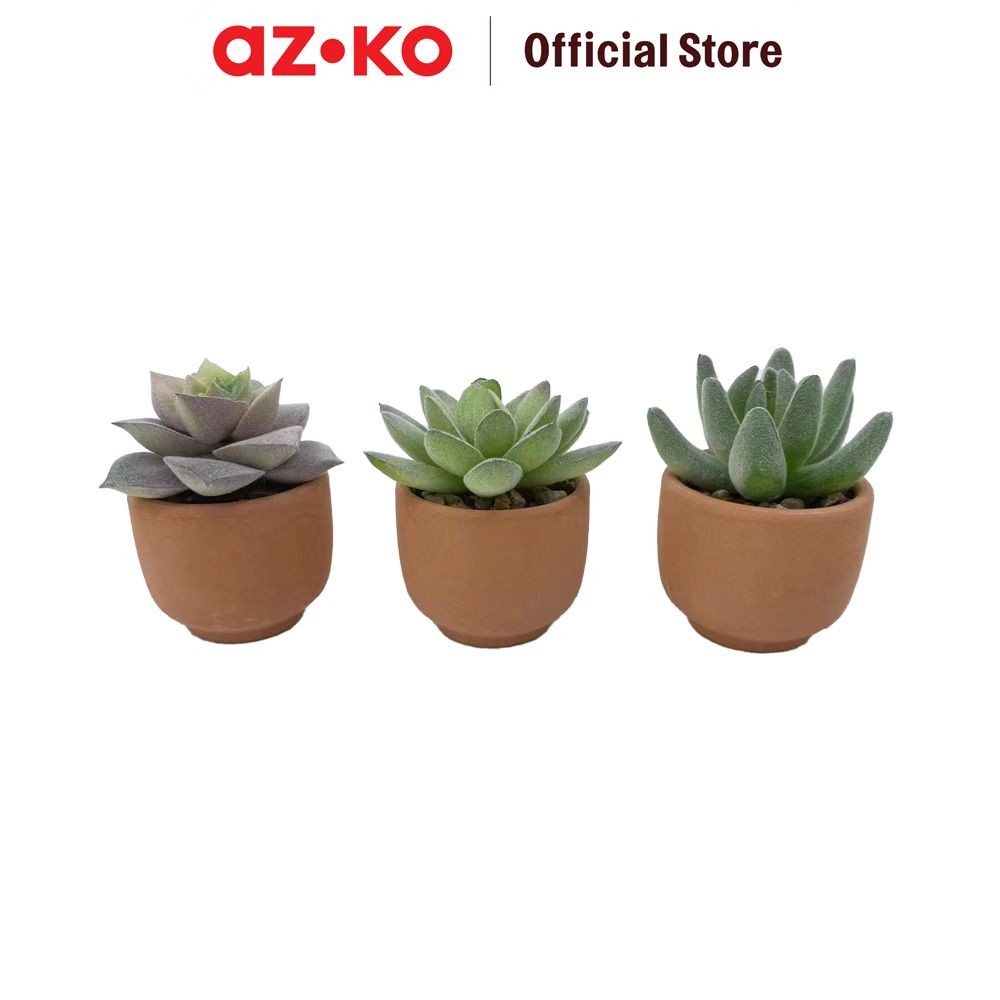 AZKO Arthome Set Tanaman Artifisial Sukulen Mini Teacup Tumbuhan Tanaman Buatan Dekorasi Plant Sinte