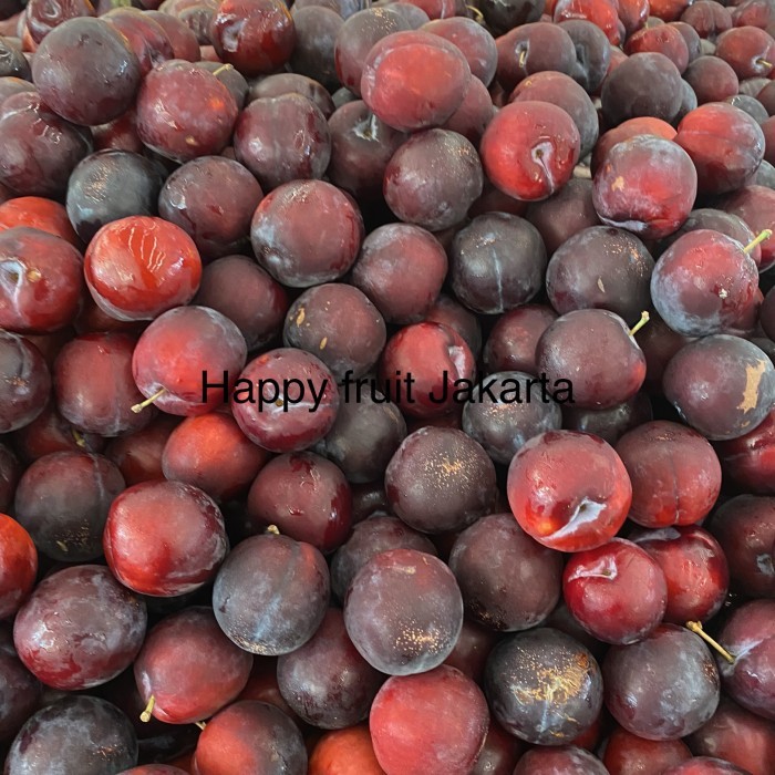 

Promo Plum black red super | Buah plum red black fresh 1 kg