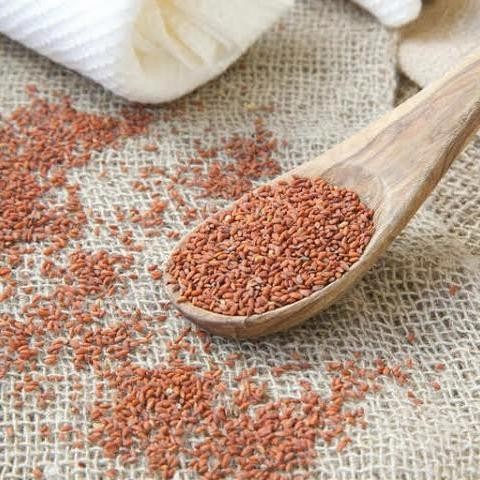 

Garden Cress Seed - Biji Selasih Merah - Obat Sakit Lutut & Diabetes - size 100gr [terlaris]