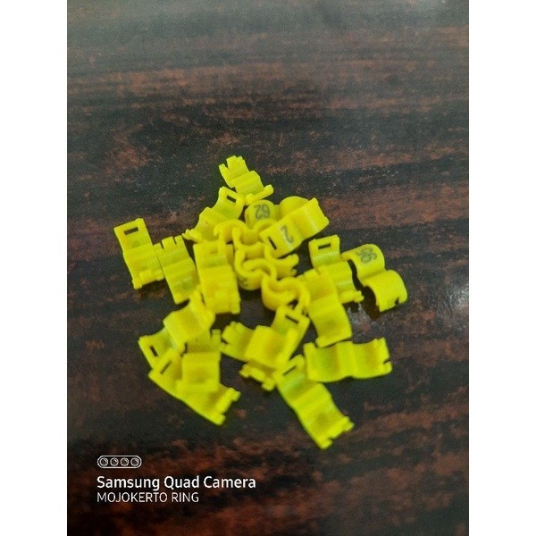 | Ring clip/Ring burung dewasa  kenari,murai,lovebird,cucak hijau,perkutut,murai,pleci,sogon,konin .