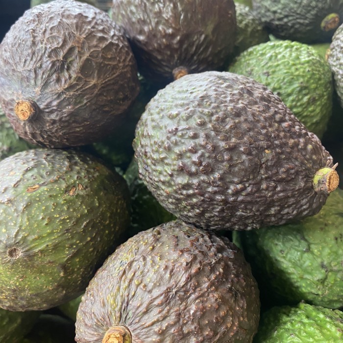 

Alpukat hass africa | Buah alpukat import afrika fresh 1 kg