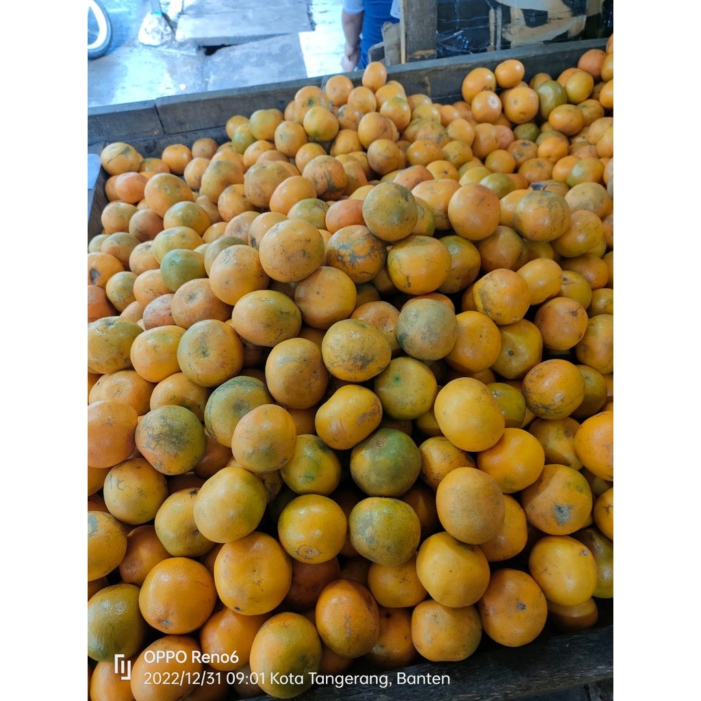 

Jeruk Medan 500Gr
