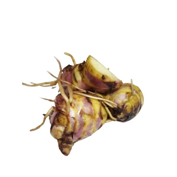 

Termurah Umbi ganyong basah segar organik 1kg ganyoh merah organik