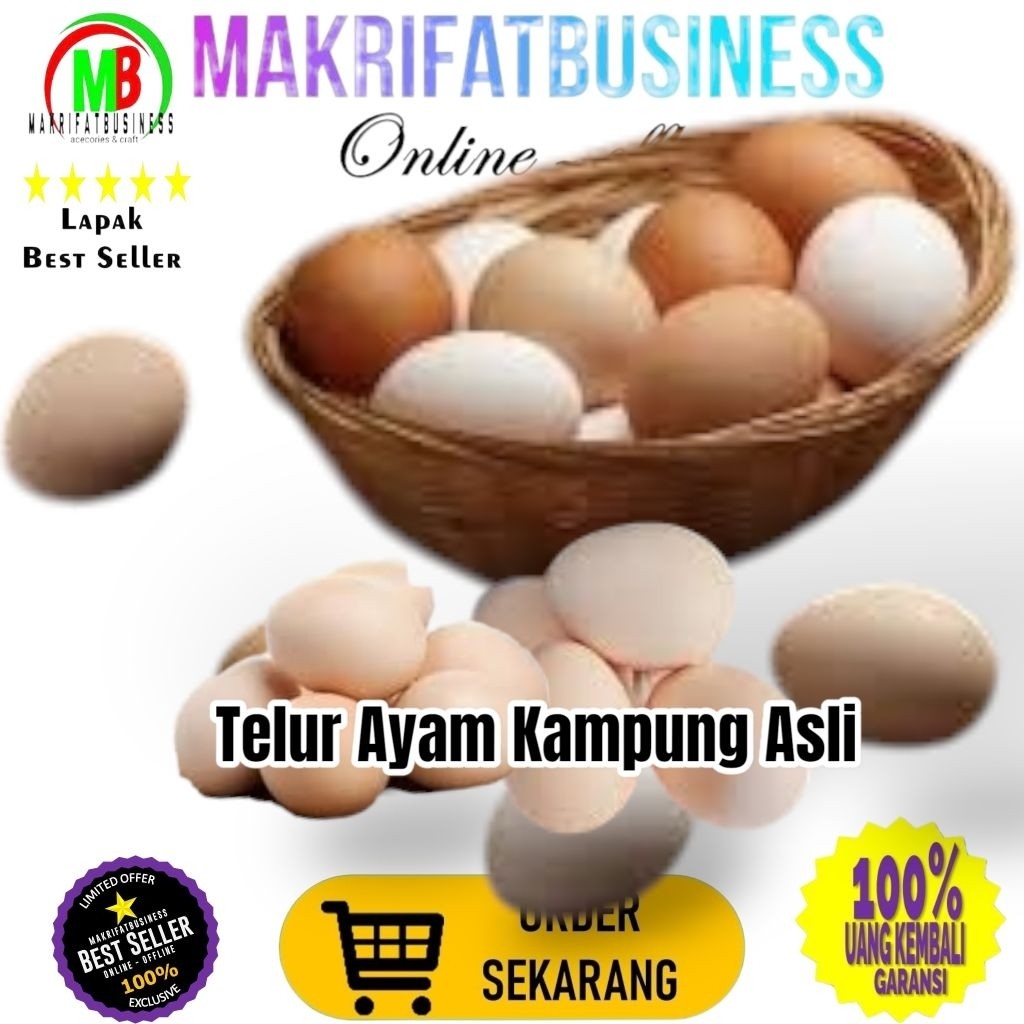 

IMDA HANDICRAFT Paket 3 Pcs Size Kecil TELUR AYAM KAMPUNG ASLI Untuk Konsumsi Jamu Kesehatan Makanan Protein Gizi Tinggi