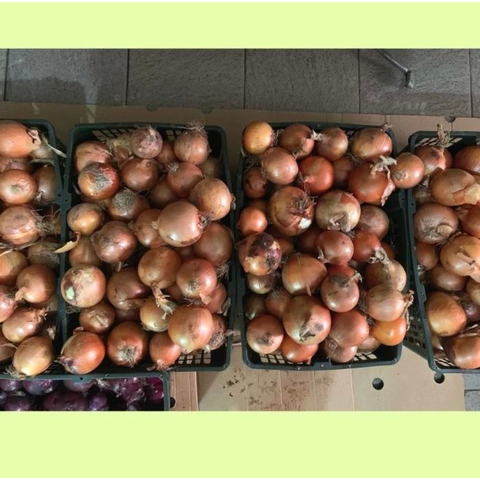 

Bawang bombay / bawang bombay termurah - 500 gram