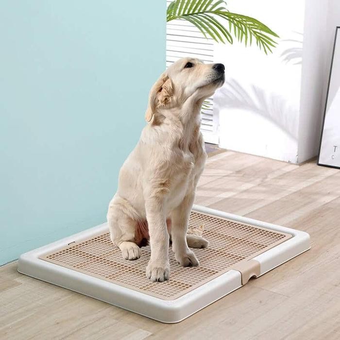 Pet Toilet Training Dog Large - Tempat Pipis Poop - Pee Tray Dog L - Cokelat