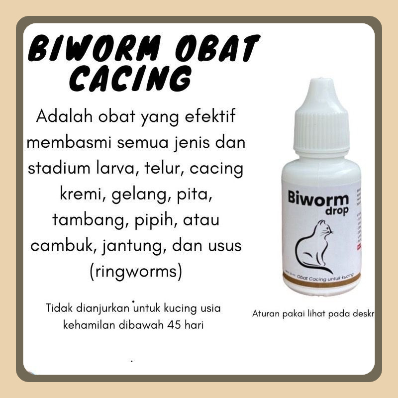 BIWORM DROP obat cacing kucing kitten dewasa