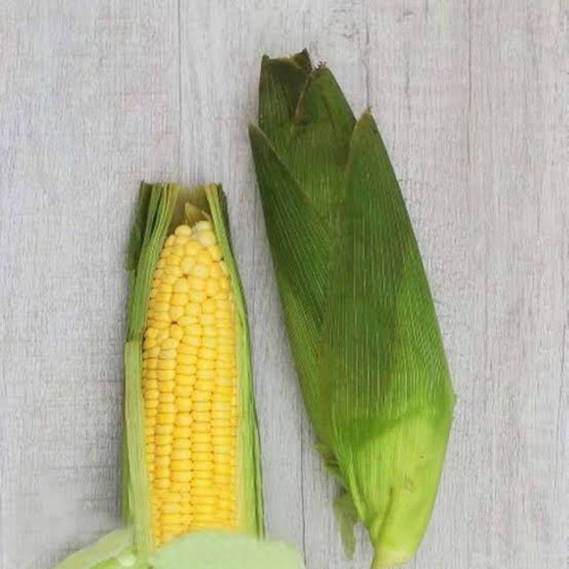 

Jagung Kulit