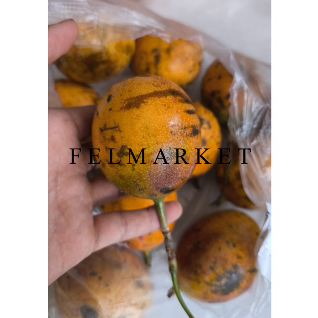 

Buah Markisa Super / Buah Markisa Manis / 1 Kg