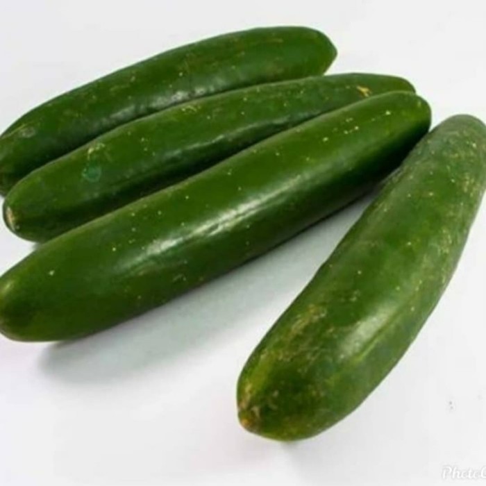 

TIMUN KYURI (pcs ± 300gr)