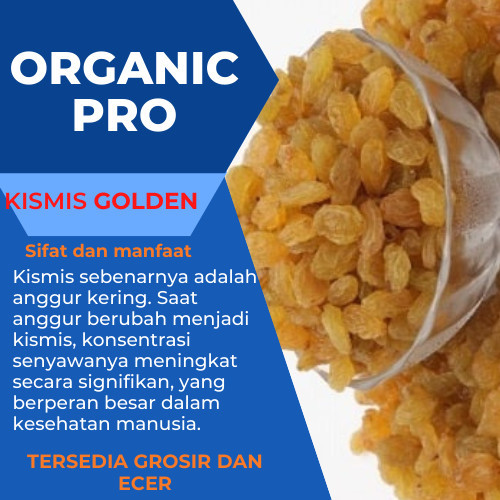 

[Best Seller] KISMIS GOLDEN RAISIN 500gr