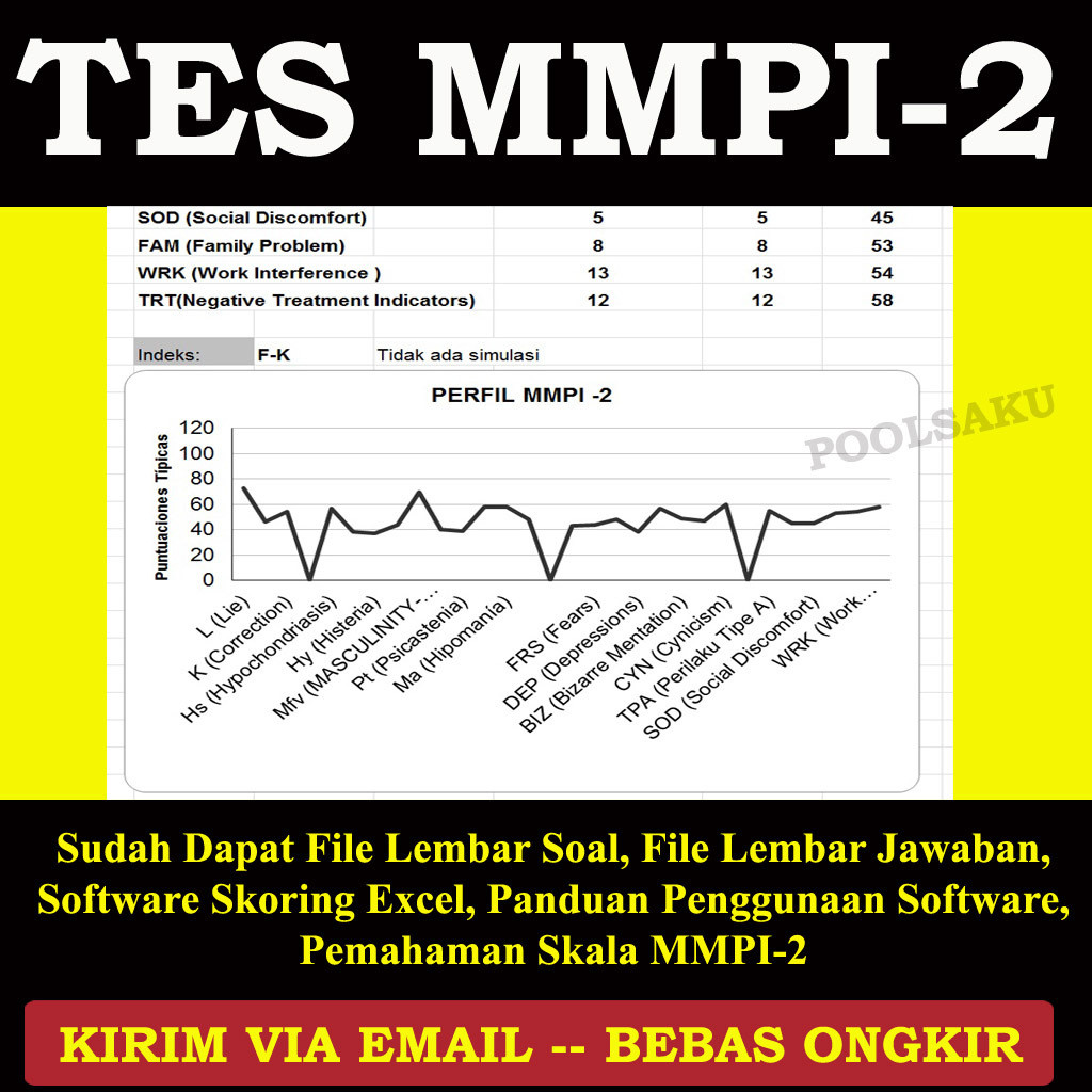 Software Tes Psikologi Psikotes MMPI2 MMPI 2 MMPI-2 MMPI Versi 2 / Software Skoring Psikogram MMPI2 