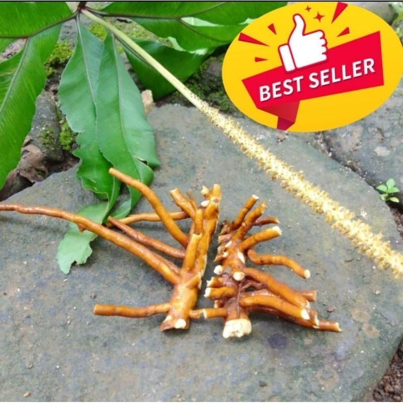 

akar tunjuk langit segar 100g DN