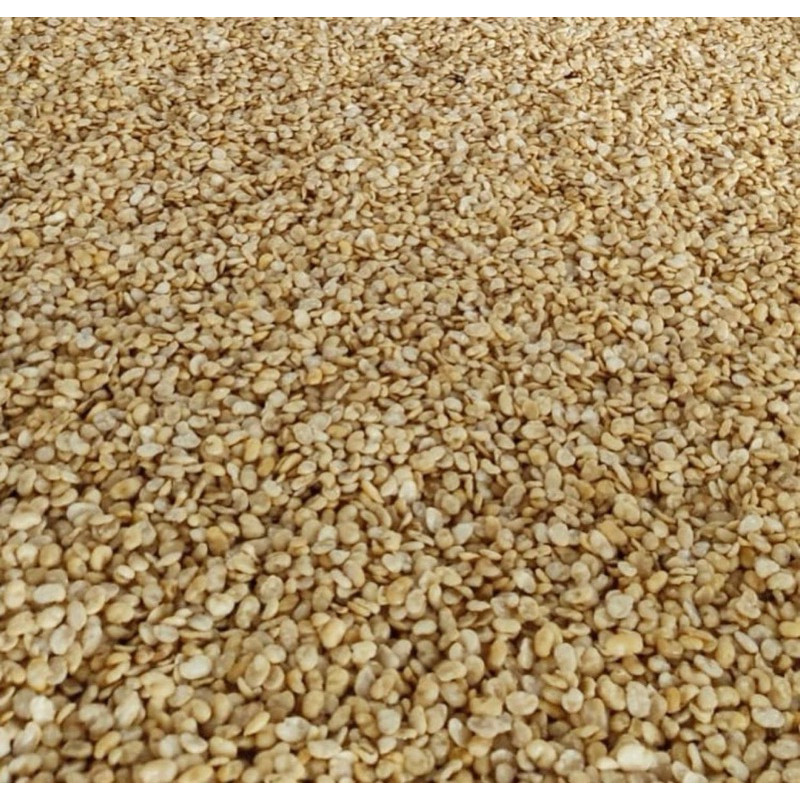

kacang Bogor / kacang koro 1 kg