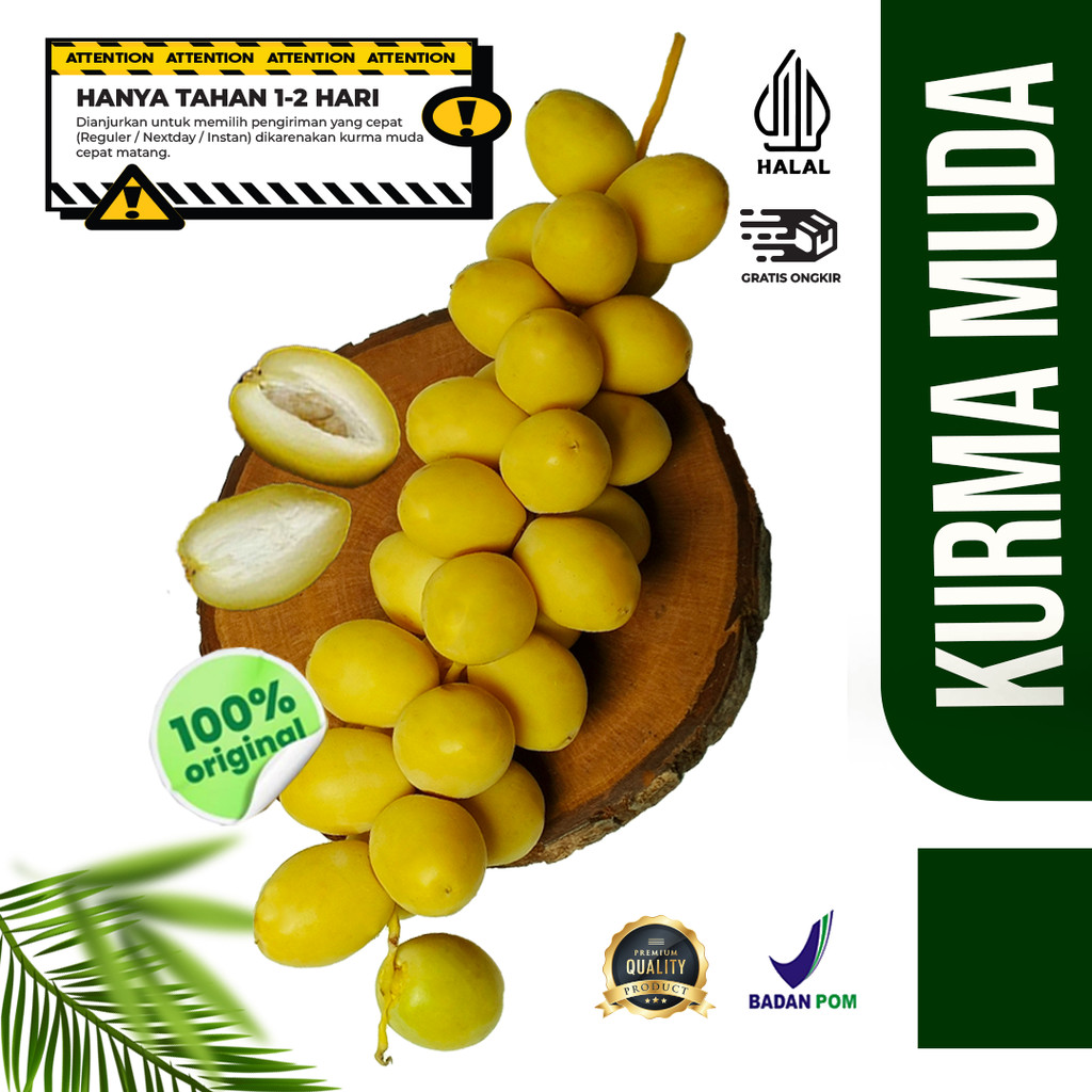 

KURMA MUDA KUNING FRESH / KURMA MUDA PROMIL ORIGINAL