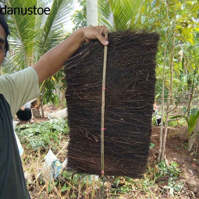 injuk kakaban telur ikan
