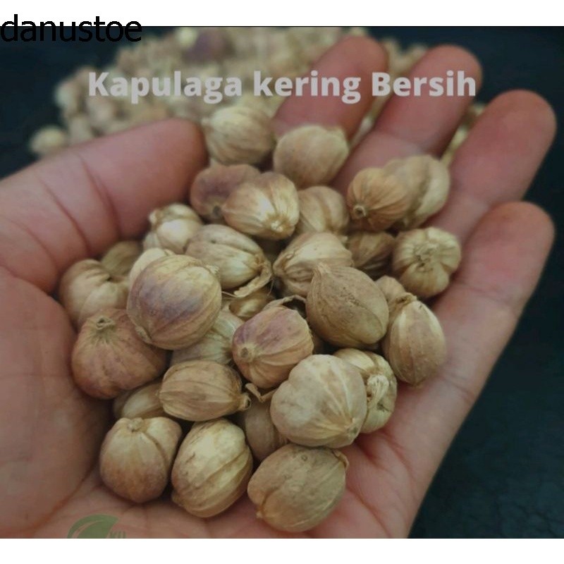 

kapulaga kering pack