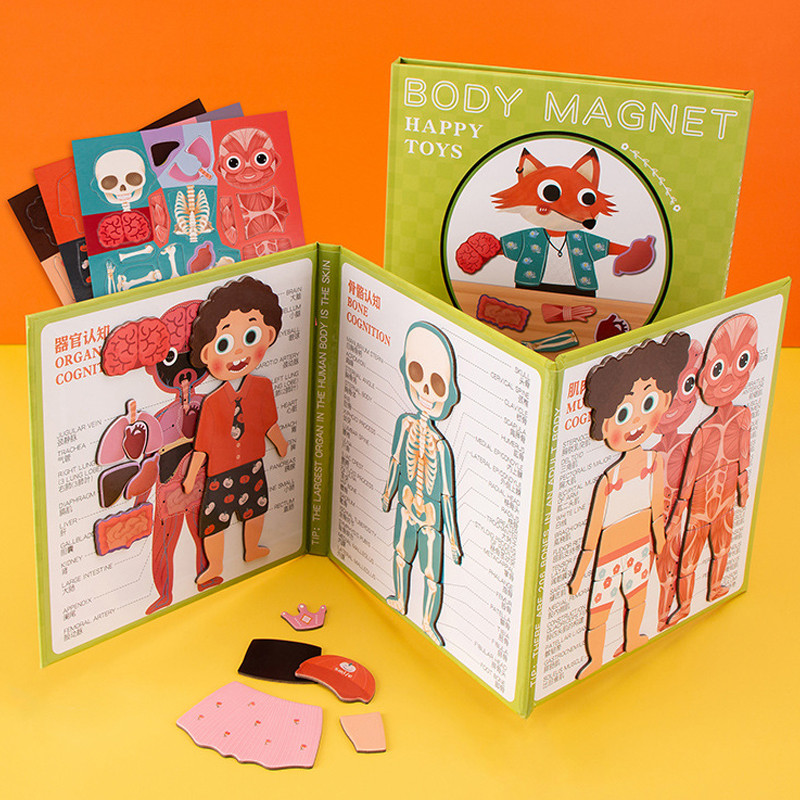 Kids Human Body Organs Muscles Skeleton Cognition Magnetic Puzzle Interactive Toy Montessori Busy Bo