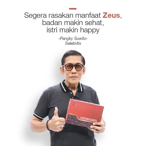 SALE -ZEUS UNDERWEAR - CELANA DALAM KESEHATAN DAN TERAPI SIZE M - XXL - XL, 2 pcs