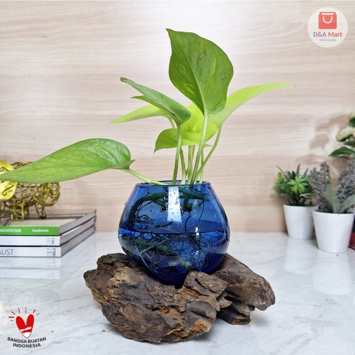 Aquarium Kaca Tiup Akar Kayu Pot Kaca Glass Wood Terrarium Biru Sedang Home Decor