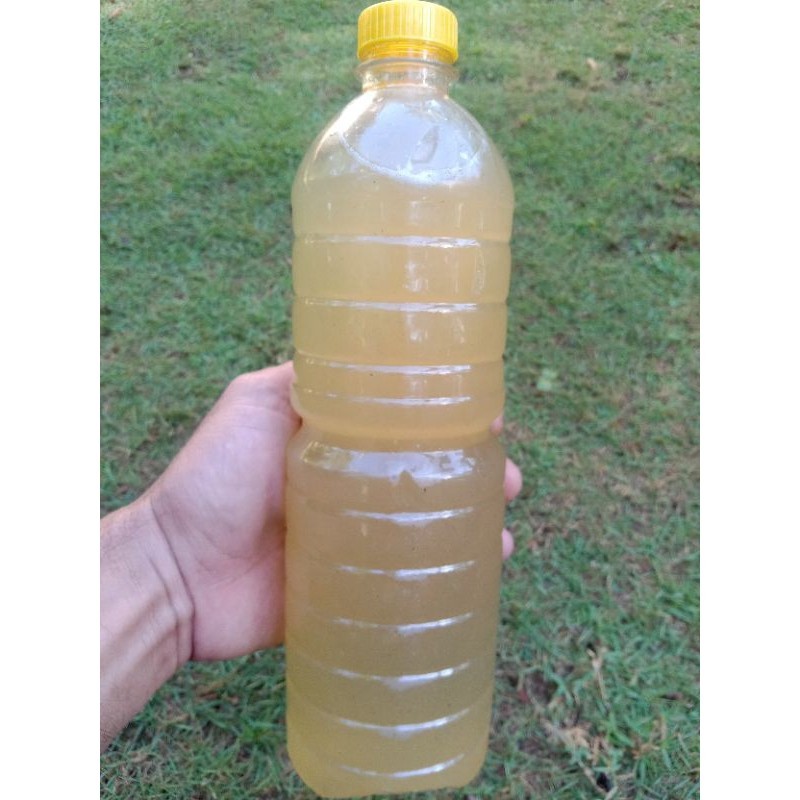 

Air Nira Aren Murni Asli 1liter Nira Pohon aren