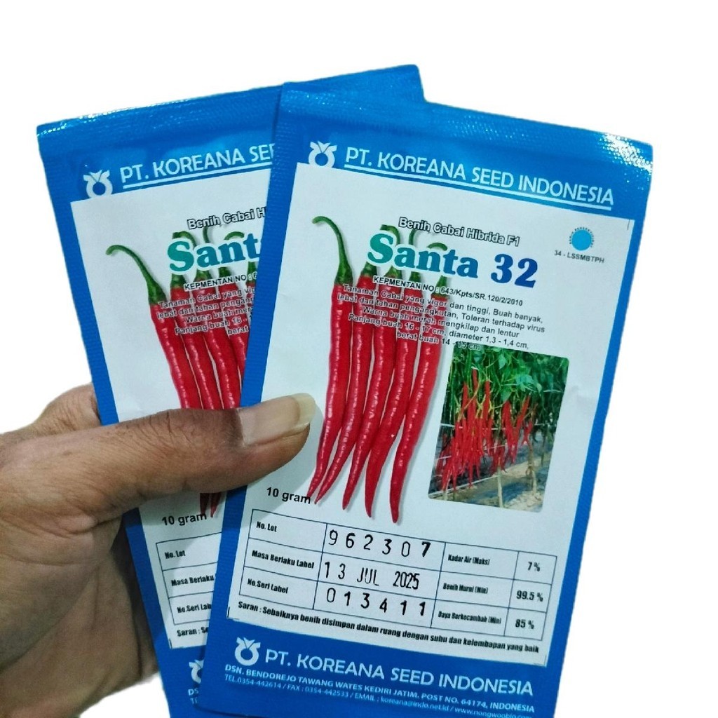 Benih Cabe Besar Santa 32 F1 10gr Original Cabai Hijau
