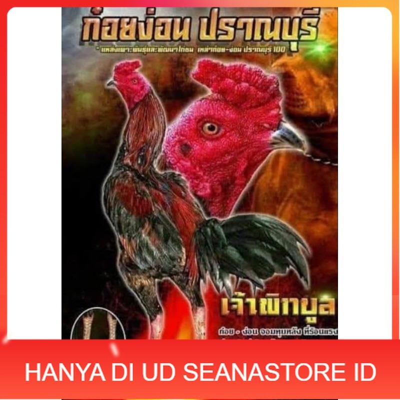

Telur fertil ayam pakhoy trah pitt bull / COD UD SEANASTORE ID