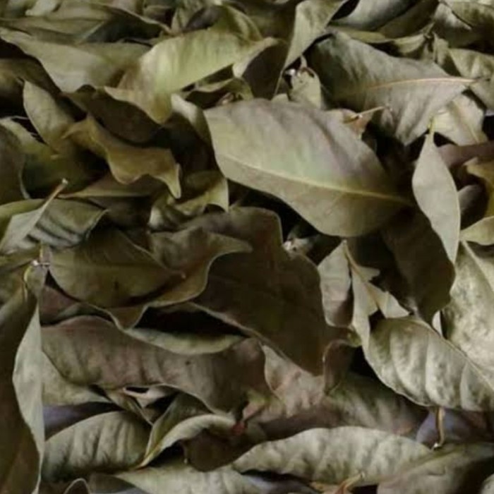 

daun salam kering basah pasar online makassar