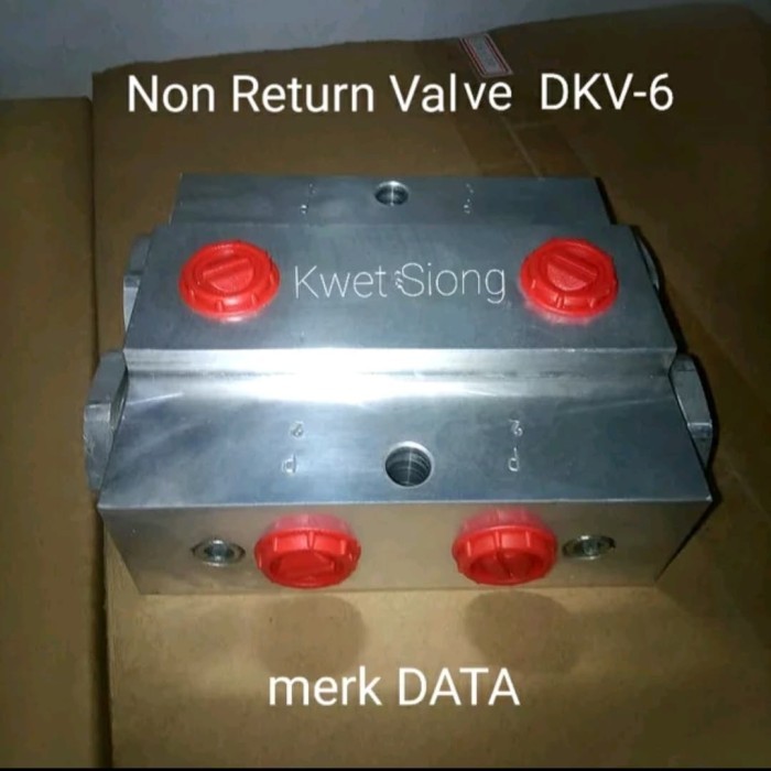 Valve DKV-6 Helm Pump Accessories DP-42, DP63, DP88, DP120 merk "DATA"