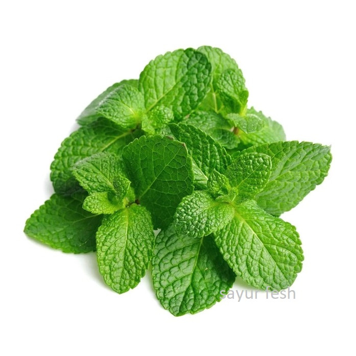 

Daun Mint Segar 500gr