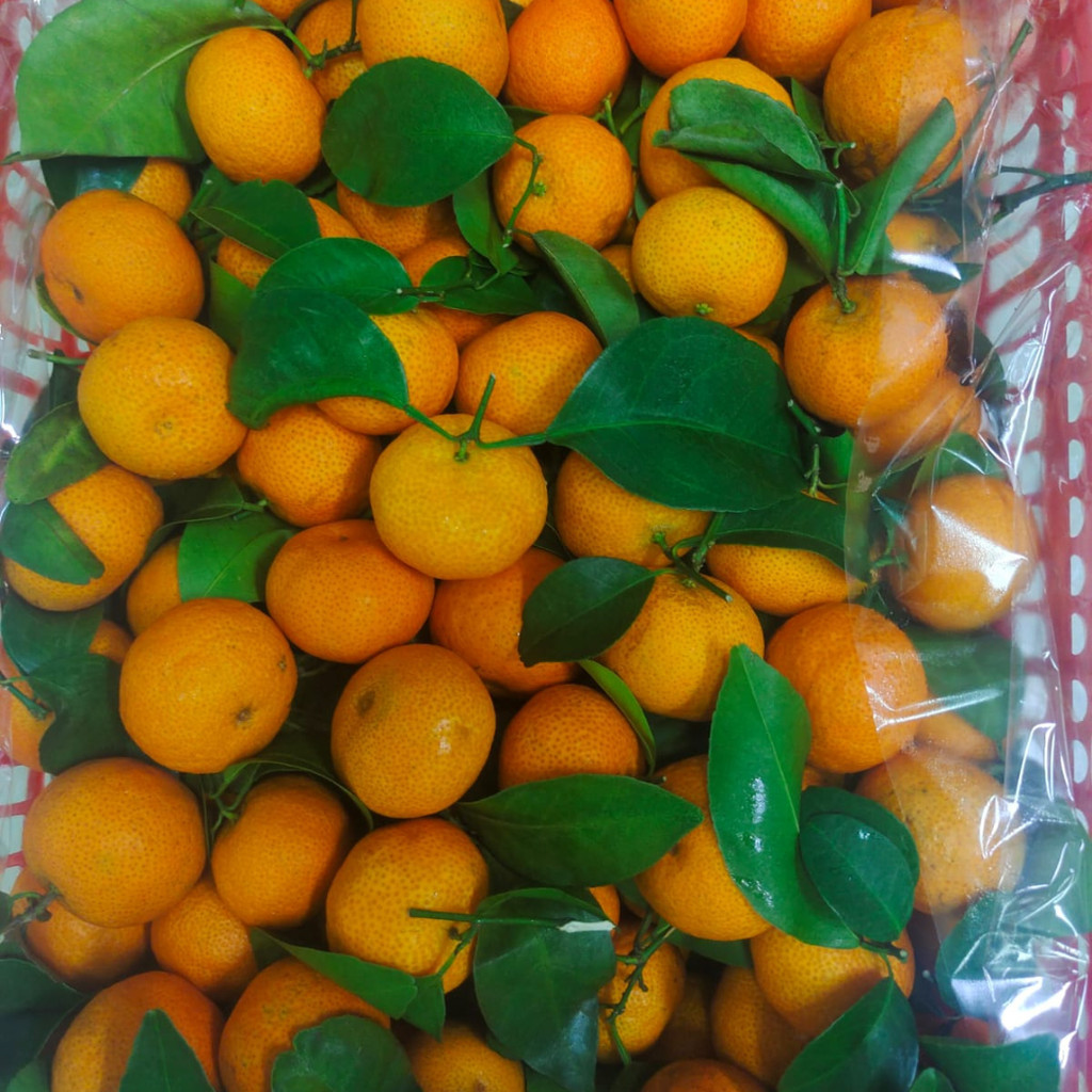 

Jeruk Santang Tangerine Import 1 kg
