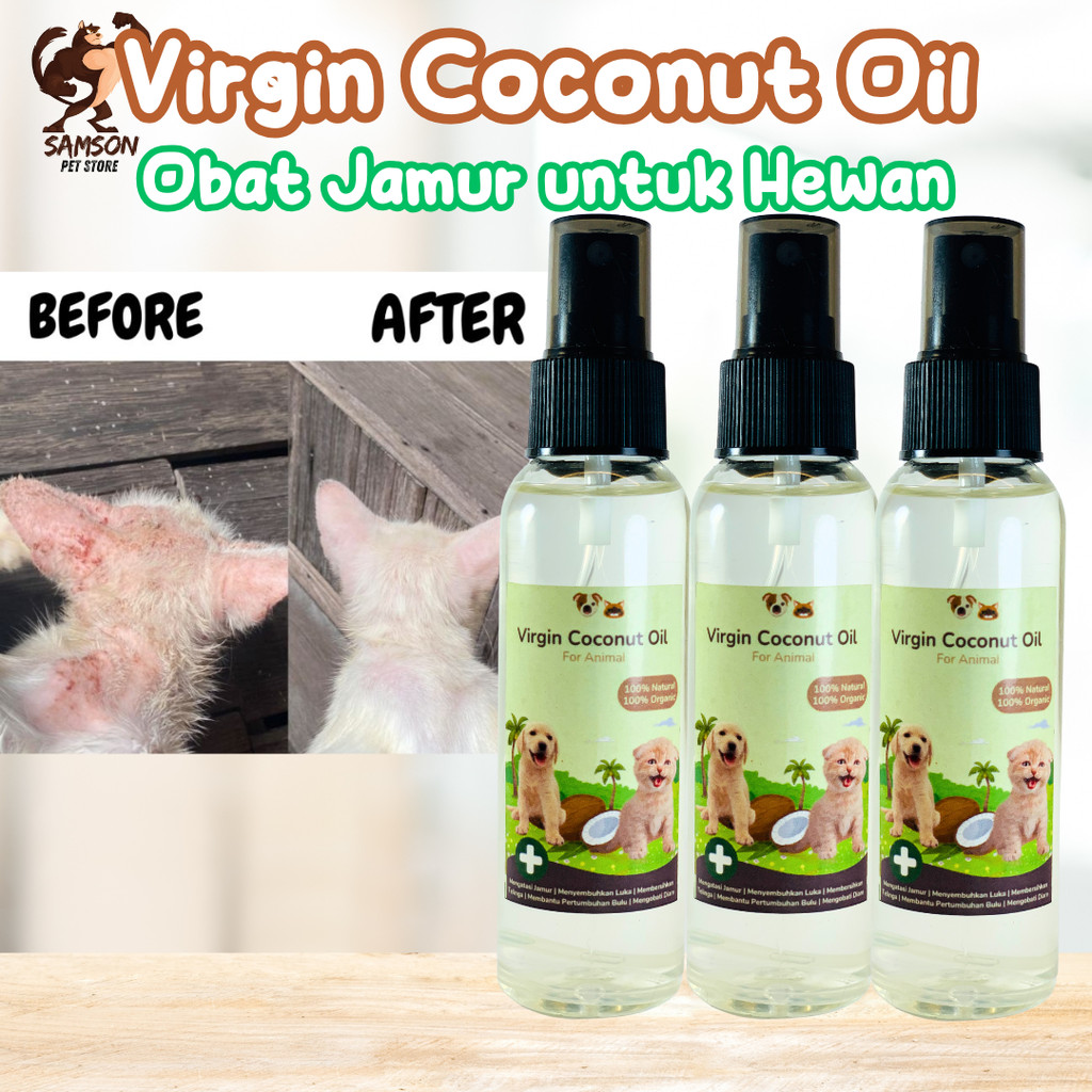 [GROSIR] VCO MURNI 100% MENGOBATI SCABIES JAMUR PADA KUCING | OBAT JAMUR SCABIES UNTUK KUCING ANJING